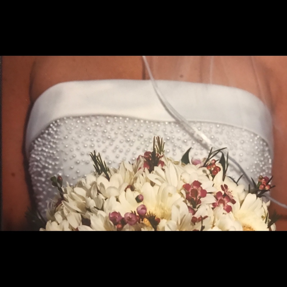 Wedding Dress and Veil